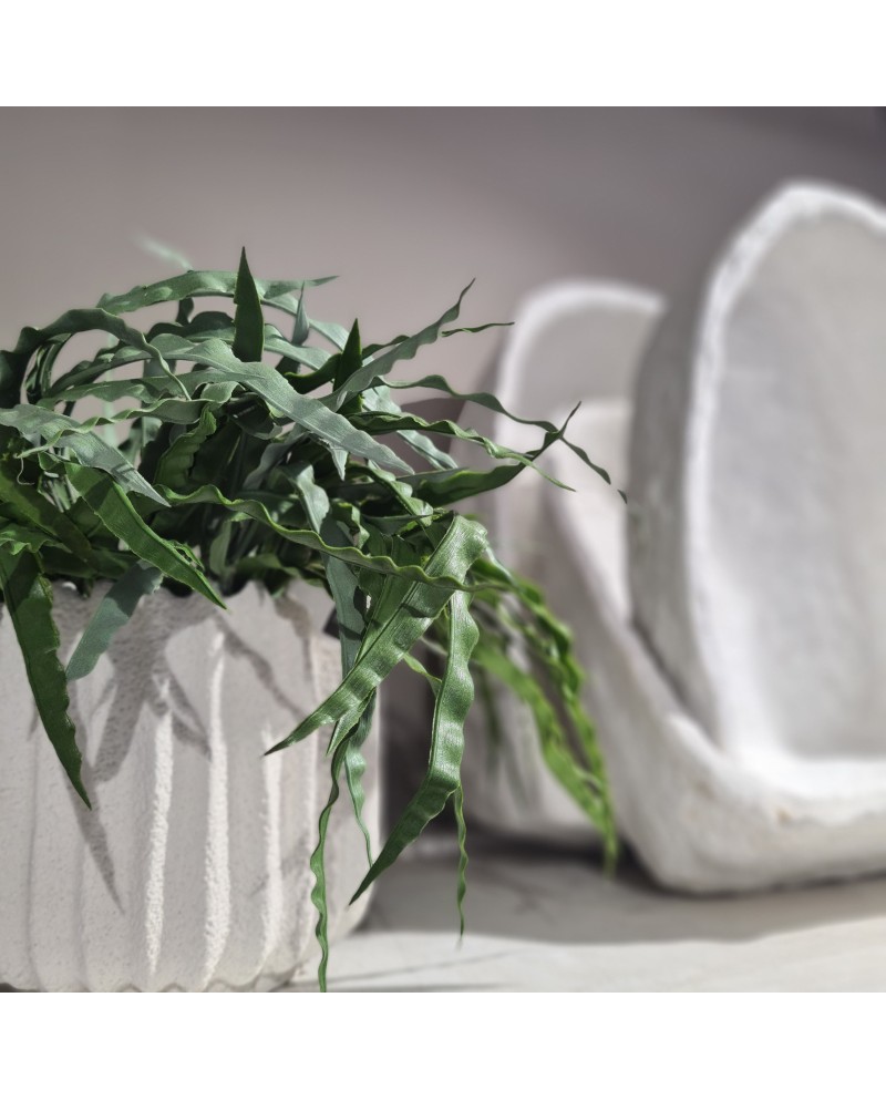 FLOWER POT  Jolipa