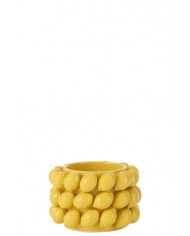 Flowerpot Lemons Jolipa